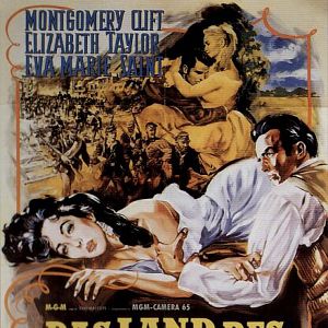 Bilder Das Land des Regenbaums