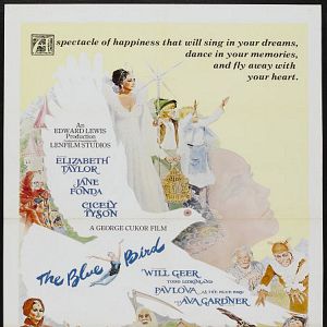 Bilder Der blaue Vogel