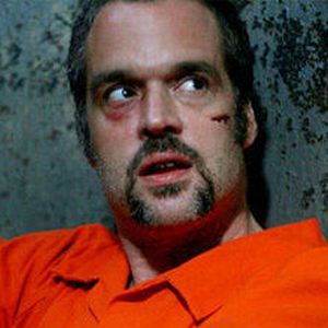 Bilder Darren Dalton