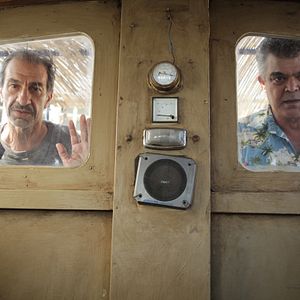 Bilder Das Schwein von Gaza