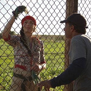 Bilder Das Schwein von Gaza