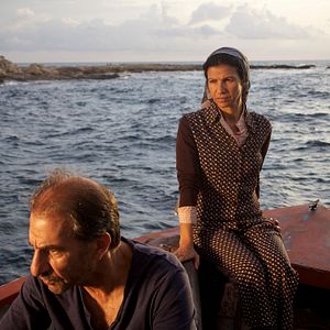 Bilder Das Schwein von Gaza