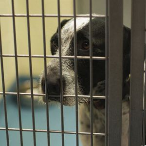 Bilder Some Days are Better than Others