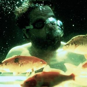 Bilder Castaway - Die Insel