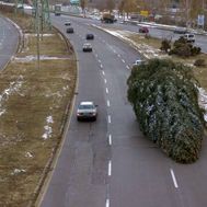 Bilder Christmas Tree Upside Down