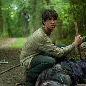 Bilder Vampire Nation