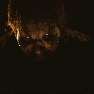 Bilder Vampire Nation