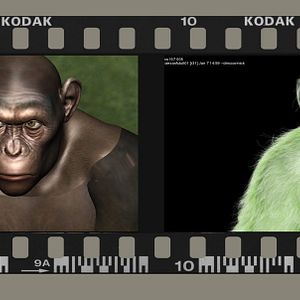 Bilder Planet der Affen: Prevolution