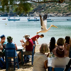 Bilder Olivier Horlait