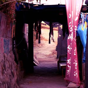 Bilder In front of the house