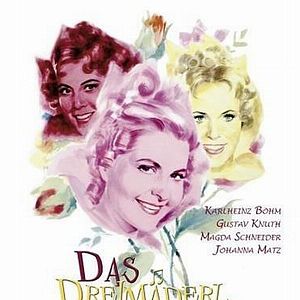 Bilder Das Dreimäderlhaus