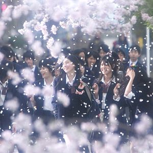 Bilder Geständnisse