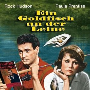 Bilder Ein Goldfisch an der Leine