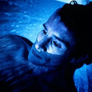 Bilder Winterschläfer