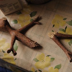 Bilder Mein Freund Knerten