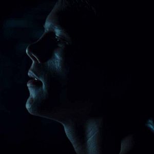 Bilder Franck Falise