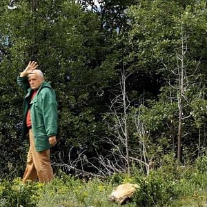 Bilder Die Leitung der Vernunft