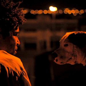 Bilder Nuvem - Le poisson lune