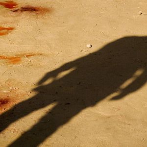 Bilder Django Unchained