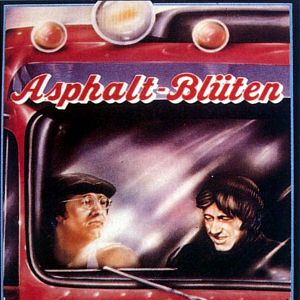 Bilder Asphalt-Blüten