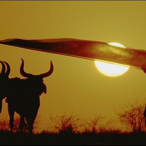 Bilder Bollywood - Die größte Liebesgeschichte aller Zeiten