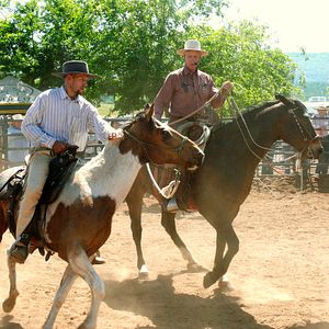 Bilder Buck - Der wahre Pferdeflüsterer