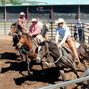 Bilder Buck - Der wahre Pferdeflüsterer