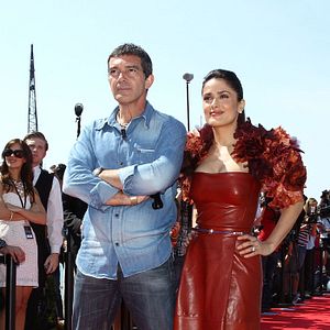 Bilder Der gestiefelte Kater