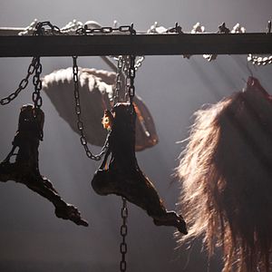 Bilder Paranormal Experience