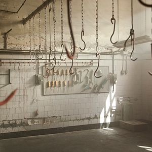 Bilder Paranormal Experience