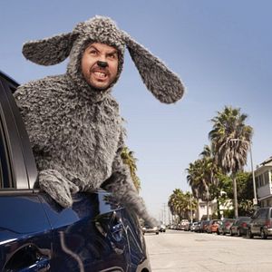 Bilder Wilfred (2011)