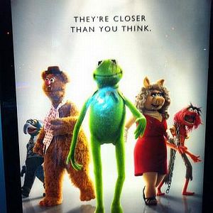 Bilder Die Muppets