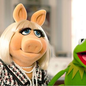 Bilder Die Muppets