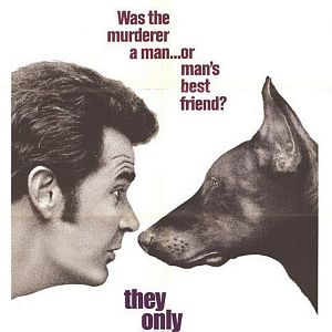 Bilder Spur der schwarzen Bestie