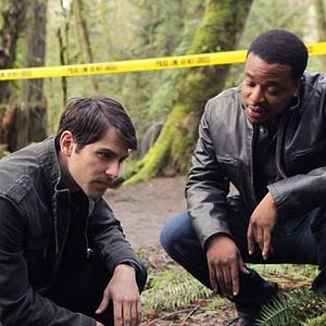 Bilder David Giuntoli