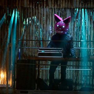 Bilder Nick Thurston