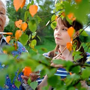 Bilder Ein Tick anders