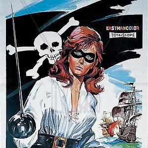 Bilder Der Tiger der Meere