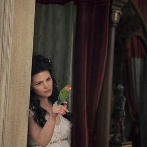 Bilder Ginnifer Goodwin