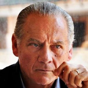 Bilder Giorgio Colangeli