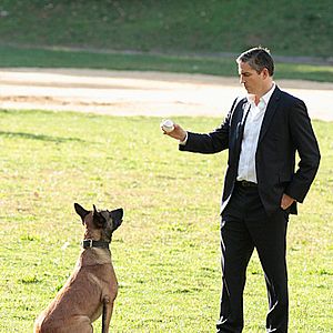 Bilder Person Of Interest