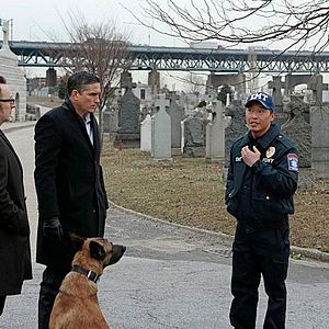 Bilder Person Of Interest