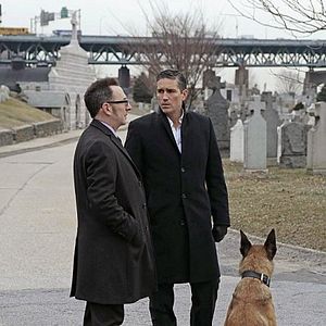 Bilder Person Of Interest
