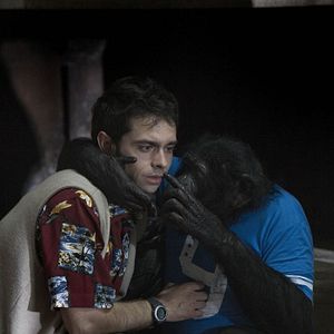 Bilder Fuga de cerebros 2