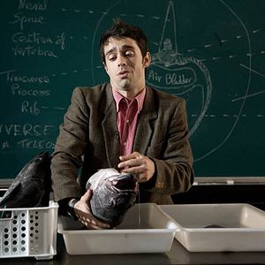 Bilder Fuga de cerebros 2