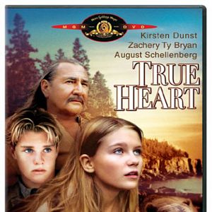 Bilder Absturz in der Wildnis