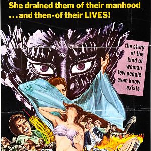 Bilder The Devil's Widow