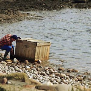 Bilder Attack of the Nazi Herbals