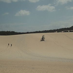 Bilder Tom Meets Zizou