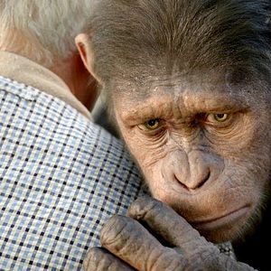 Bilder Planet der Affen: Prevolution